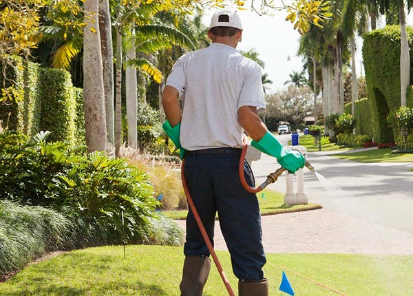 About Huddy KY Pest Control Pros